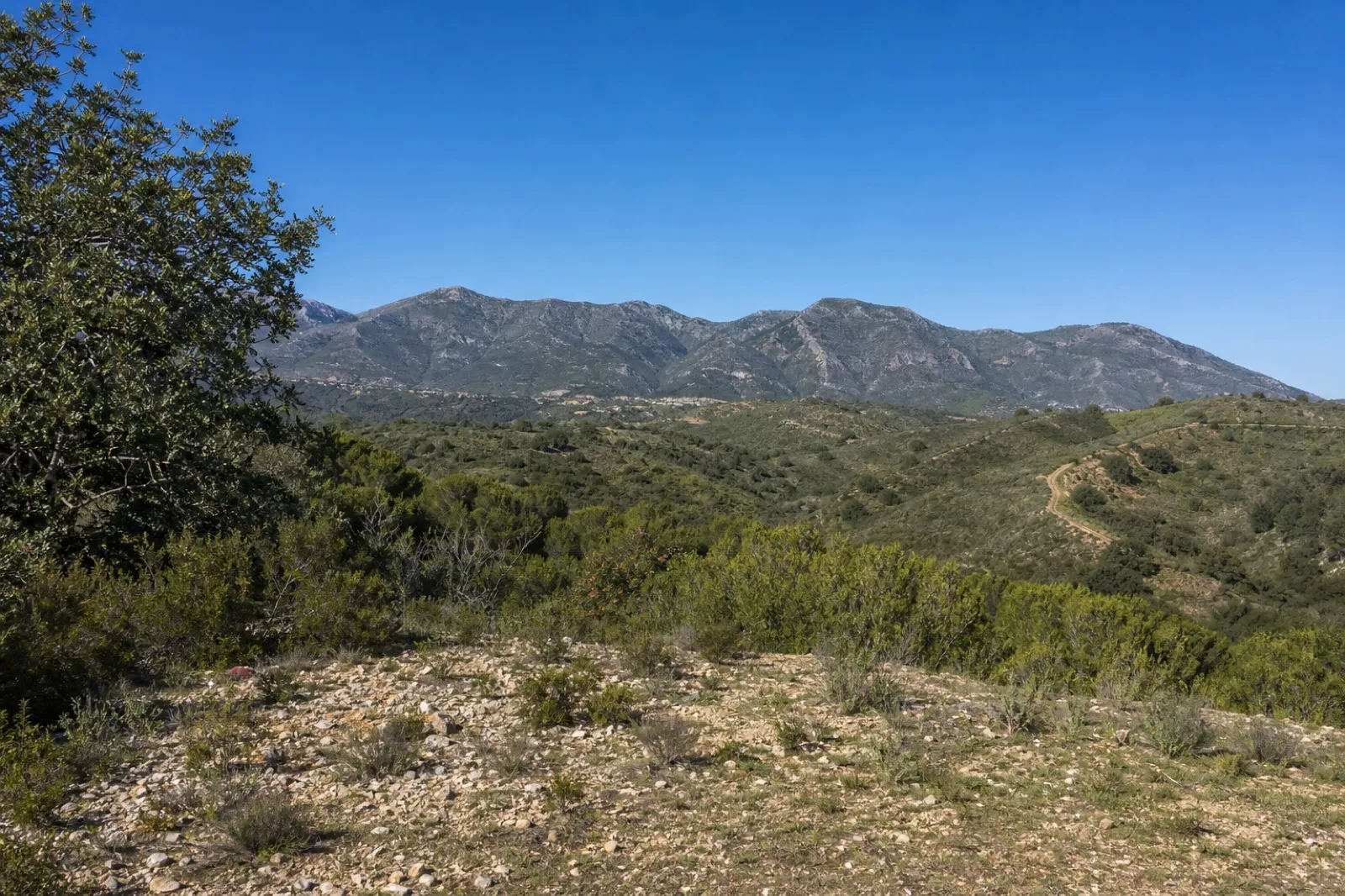 Parcela urbana con vistas panorámicas al mar en Estepona — photo 1